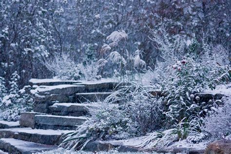 Winter Garden Wallpapers High Quality Download Free