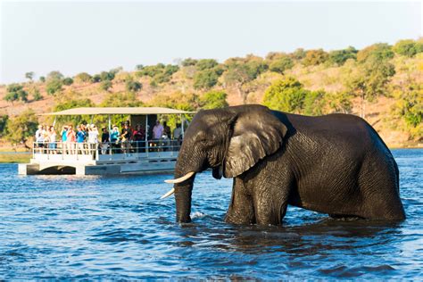 Chobe Marina Lodge Zamag Tours And Safaris Agricultural Tour