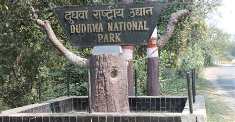 The Dudhwa National Park Natures Delight Lucknow Pulse