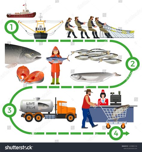 Fish Farming Industry Supply Chain Infographic เวกเตอร์สต็อก ปลอดค่า