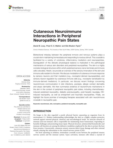 Pdf Cutaneous Neuroimmune Interactions In Peripheral Neuropathic Pain