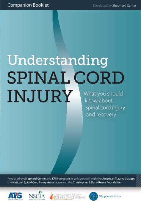 Understanding Spinal Cord Injurypdf Docslib