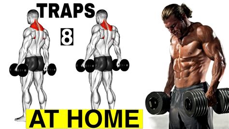 8 New Traps Workout At Home Biggrr Traps At Home Youtube