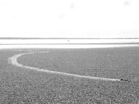 Line In The Sand Line In The Sand Created By A Stone Drug Flickr