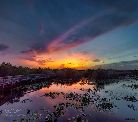 Everglades Sunrise Sunrise Sunset Photography Landscape Photography