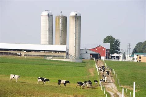 MSU Seeks Nominations For The 2024 Dairy Farm Of The Year Department