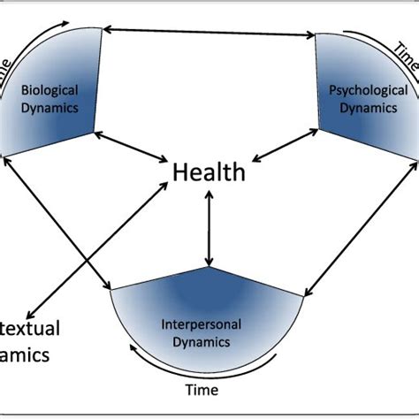The Dynamic Biopsychosocial Model Of Health This Model Expands On The