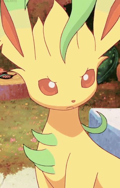 サニーゴ ♡ Cute Pokemon Wallpaper Pokemon Eeveelutions Pokemon Eevee