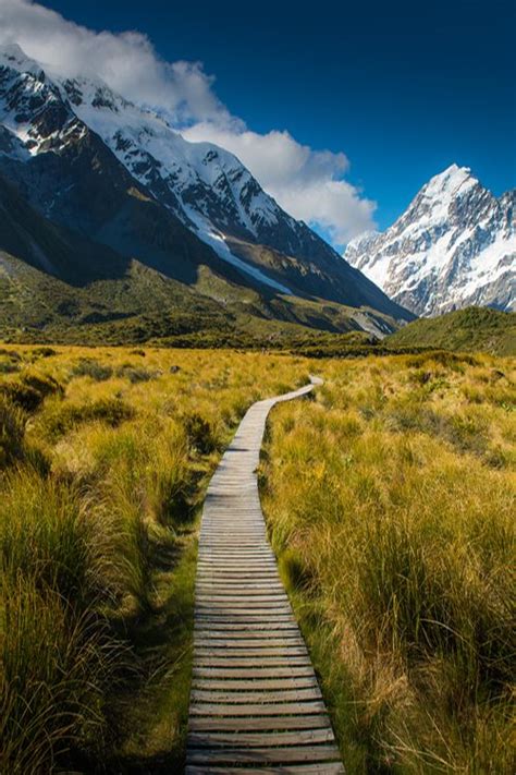 Amazing New Zealand New Zealand Travel Scenery Travel Photography