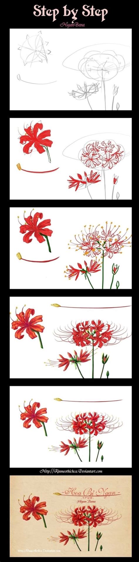 Red Spider Lily Drawing