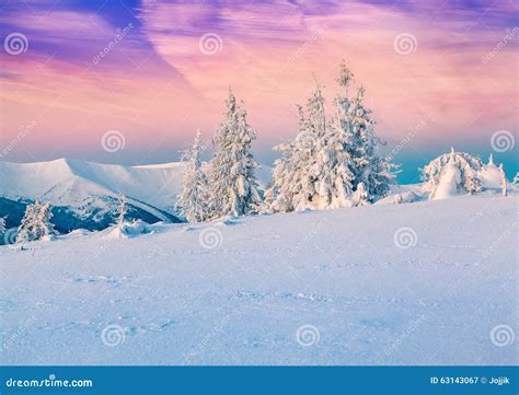 Colorful Winter Scene In The Snowy Mountains Stock Image Image Of