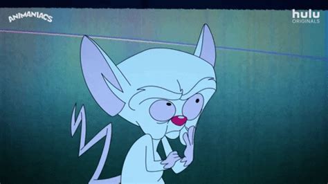 Pinky and the brain is one of the funniest animated tv shows there was. Pinky And The Brain GIF by HULU - Find & Share on GIPHY