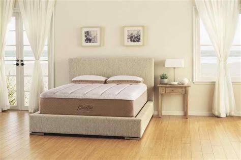 Which mattress wins the motion isolation test? Tempur-Pedic GrandBed 2019 Review: A Deep Dive Into A Luxe ...