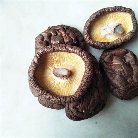 Wholesale Whole Shiitake Mushroom Premium Grade | Taiwantrade.com
