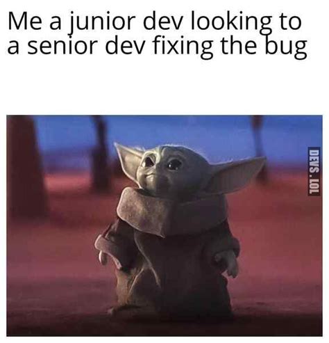 Junior Devs Vs Senior Devs During The Interview Memes For Developers