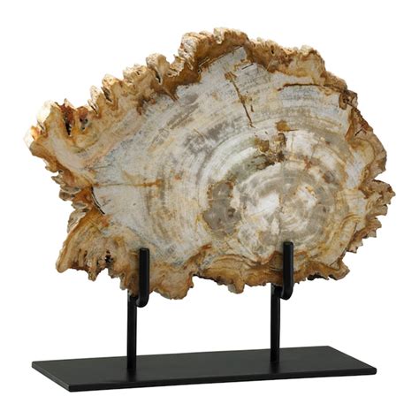 Petrified Wood Sculpture Moss Manor A Design House