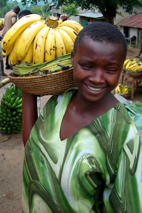 Genetically Modified Bananas Going To Uganda