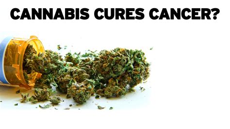 Cannabis Cures Cancer Munnch Media