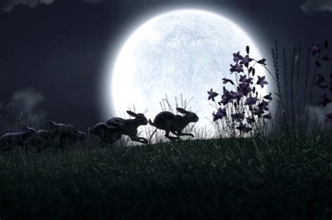 Netflixs Watership Down Proves It Was A Horror Story All Along Vox