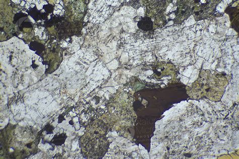 Syenite Thin Section In Plane Polarized Light 32x Syenite