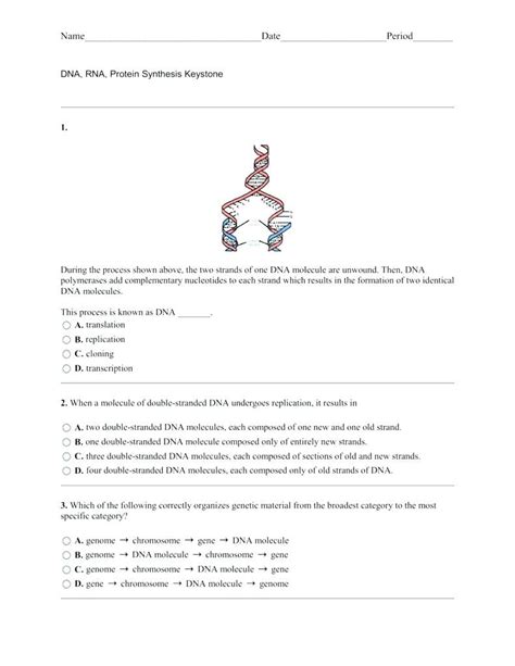So dna is involved in both. Transcription And Translation Practice Worksheet Answer ...