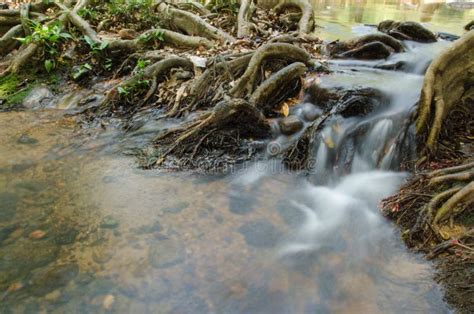 Water Fall Stock Photo Image Of Arroyo Watercourse 50462500