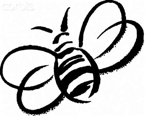 Honey Bee Tattoo Bee Outline Bee Drawing