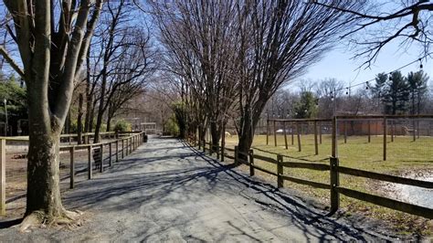 Plumpton Park Zoo Path Zoochat