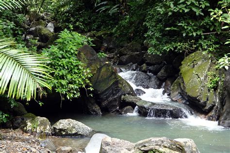 Tropical Rainforest And Caves Vivámonos