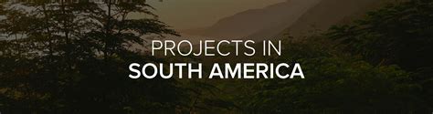 Reforestation In South America Reforest Action