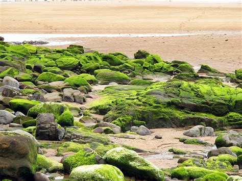 Hd Wallpaper Green Rocks Water Sea Land Beach Solid Rock