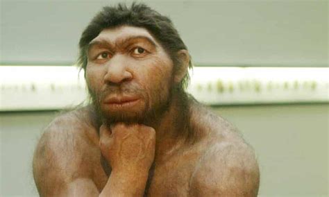 Human Neanderthal Relationships May Be At Root Of Modern Allergies Genetics The Guardian