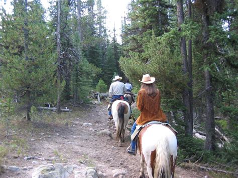 Yellowstone Horseback Riding Trail Rides Yellowstone Outfitters