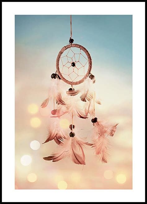 Dreamcatcher feathers Poster - stylish photographic poster 
