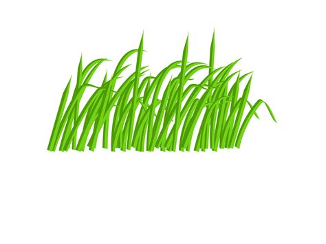 Blade Of Grass Vector Clipart Best