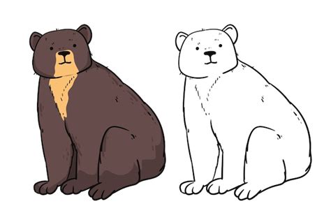 Free Vector Hand Drawn Bear Outline Illustration