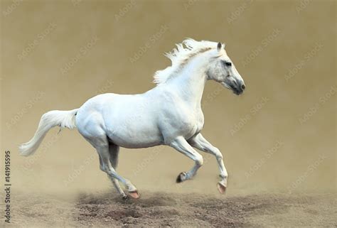 White Horse Galloping By Christiana Stawski 60 Off