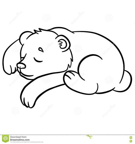 Coloring Pages Wild Animals Little Cute Baby Bear Sleeps