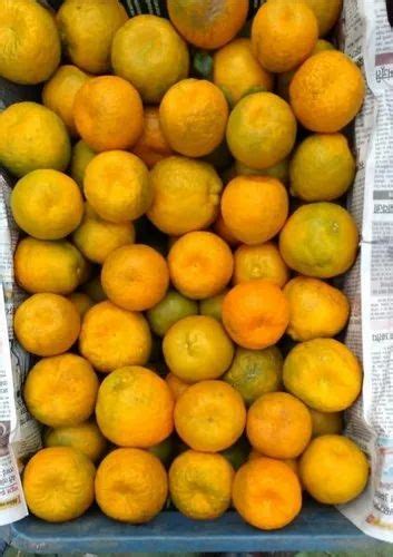 Oranges In Nagpur संतरे नागपुर Latest Price And Mandi Rates From