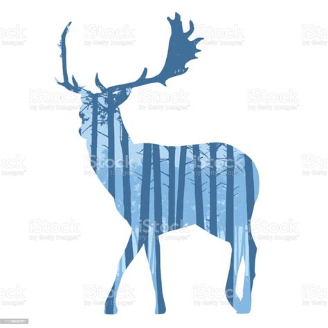 Realistic Illustration Of Deer Silhouettes With Antlers Coniferous