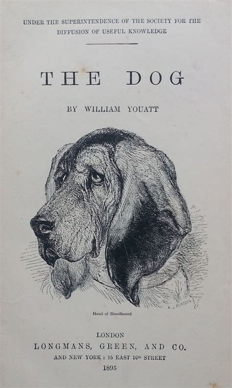 Pets And Animal Care The Dog Published 1895 William Youatt For Sale