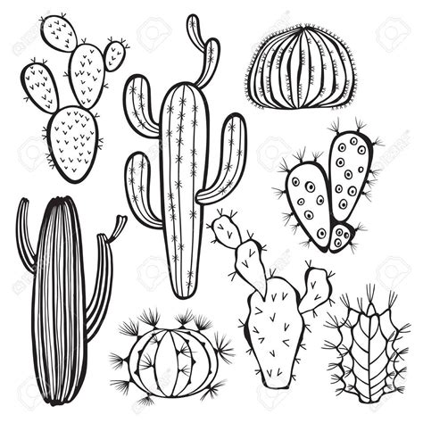 Dibujos De Cactus Para Imprimir Hand Drawn Cactus Background Cactus
