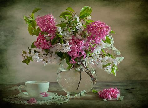 Still Life Bouquet Gentle Graphy Tea Lace Spring Hyacinths Nice