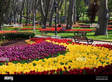 Tulip Festival Gulhane Park Istanbul Turkey Europe Stock Photo Alamy