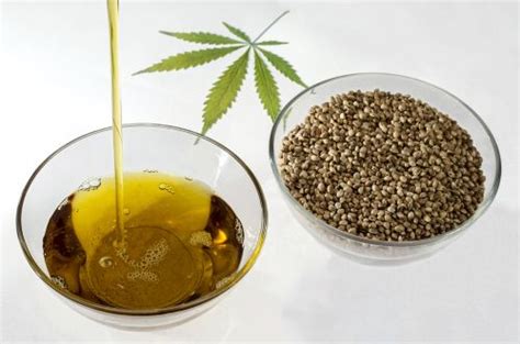 Scalp massage with oils such as hemp also. Benefits of Hemp Seed Oil for Hair | weedadvisorguide