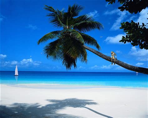 Download Paradise Wallpaper Desktop Hd In Beach Imageci By
