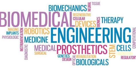 Best Biomedical Engineering Schools In The Usa 2021 2022