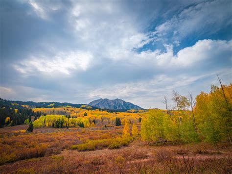 Kebler Pass Autumn Colors Crested Butte Fall Foliage Gunnison National