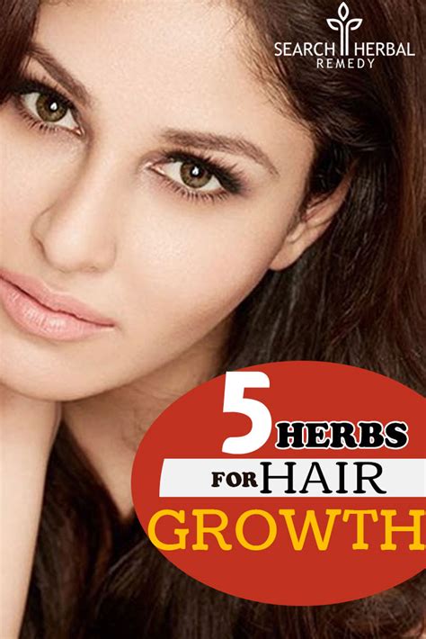 5 Natural Herbs For Hair Growth How To Grow Your Hair