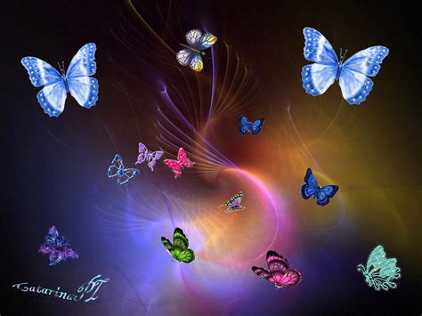 Colourful Butterflies Bright Colors Wallpaper 17227961 Fanpop